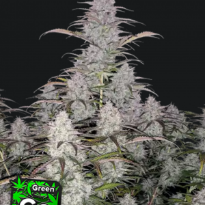 Green Crack.png